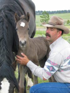 familiarizing-the-foal_small