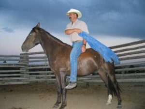 Proper communication between horse and trainer insures consistent dependability and safety .