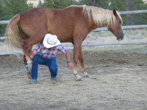 The best "method" is to listen to the horse and give it what it most needs based on its personality and behavior.